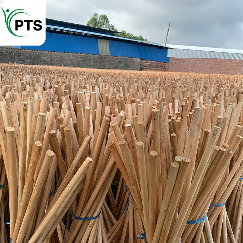 Wholesale Chinese Factory High Quality Support Custom Origin Cheap Solid Wood Broom Wooden Broom Stick